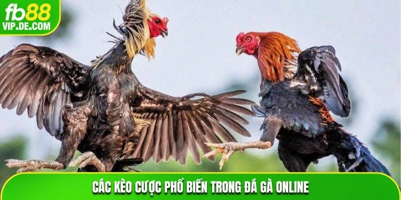 Các kèo cược phổ biến trong đá gà Online