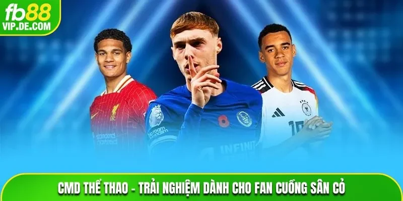 CMD Thể Thao – Trải Nghiệm Dành Cho Fan Cuồng Sân Cỏ