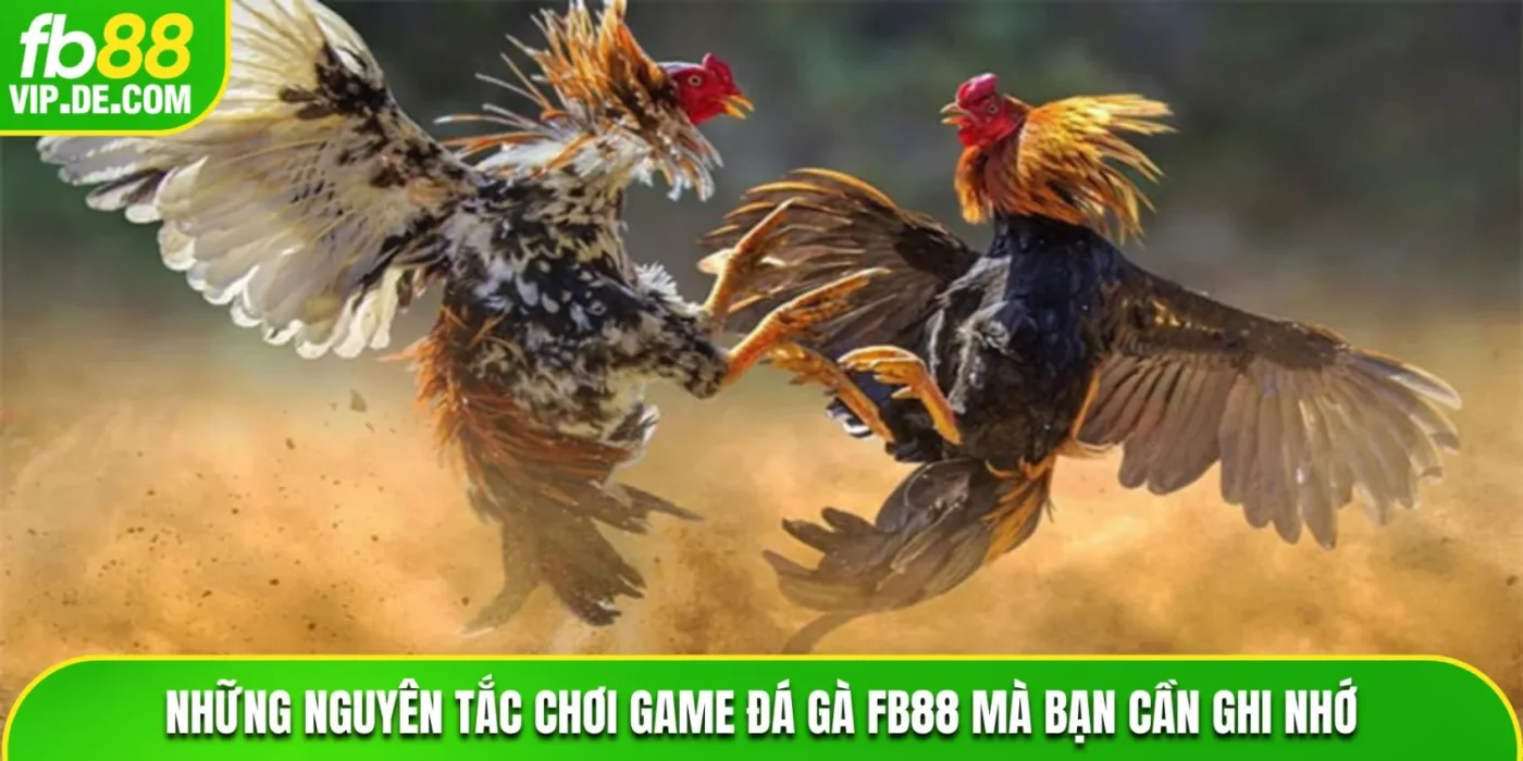 Những nguyên tắc chơi game đá gà tại FB88 mà bạn cần ghi nhớ