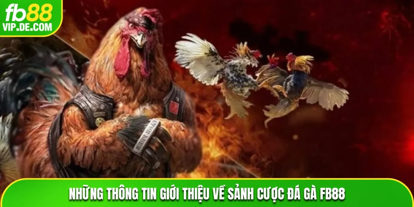 Những thông tin giới thiệu về sảnh cược đá gà FB88