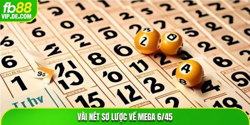 Vài nét sơ lược về Mega 6/45